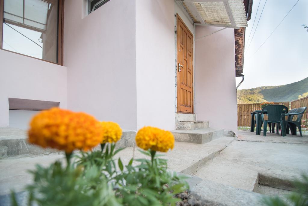 Belvedere Old * Brasov